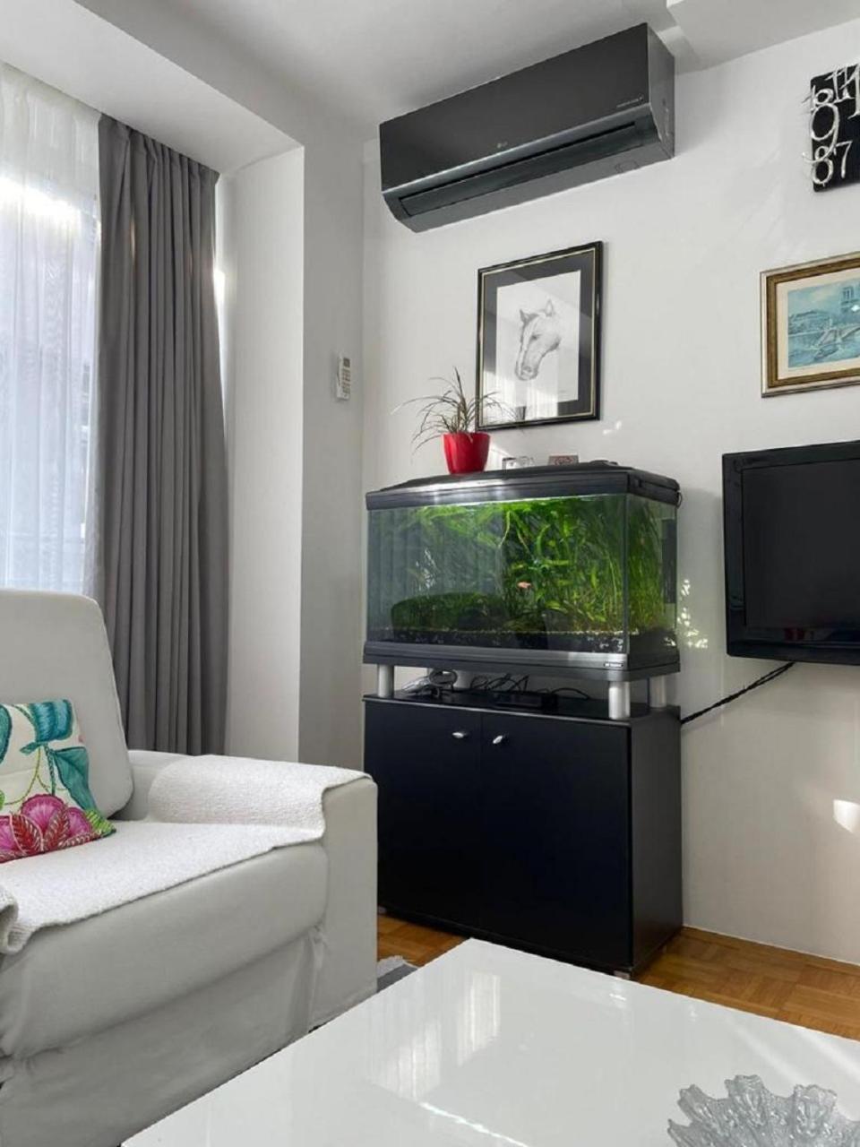 Sase Apartment サラエヴォ エクステリア 写真